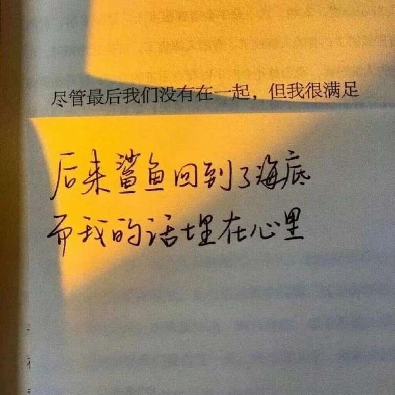 跟着央视练文笔