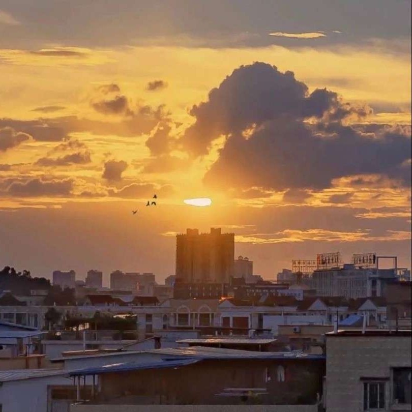 向盛夏