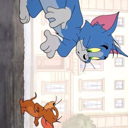 猫和老鼠