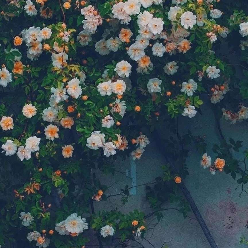 春日宴