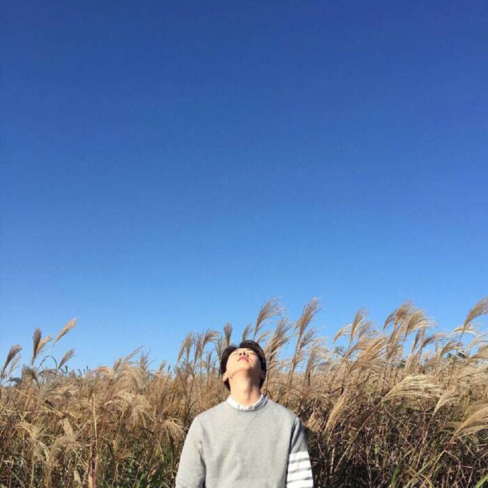 献给我深爱着的女孩