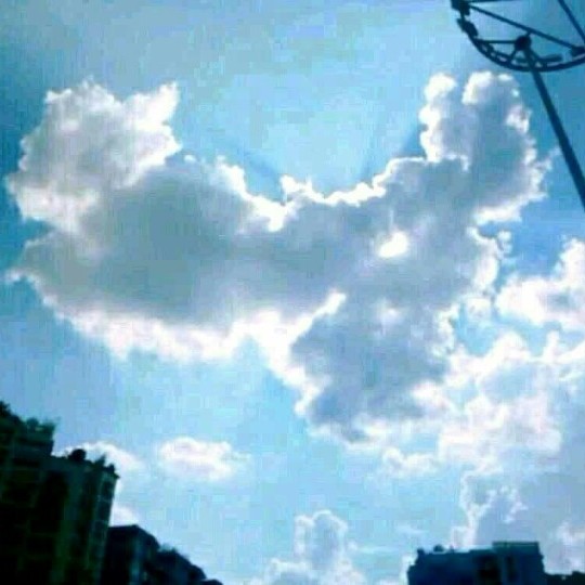 CFY.的专辑