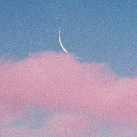 《病态宠爱》