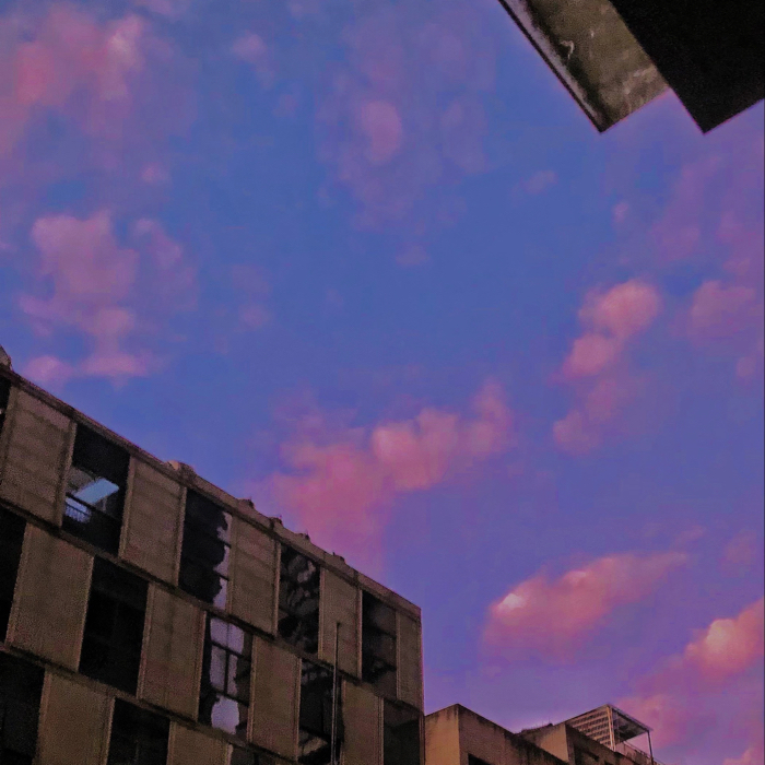 丧系.