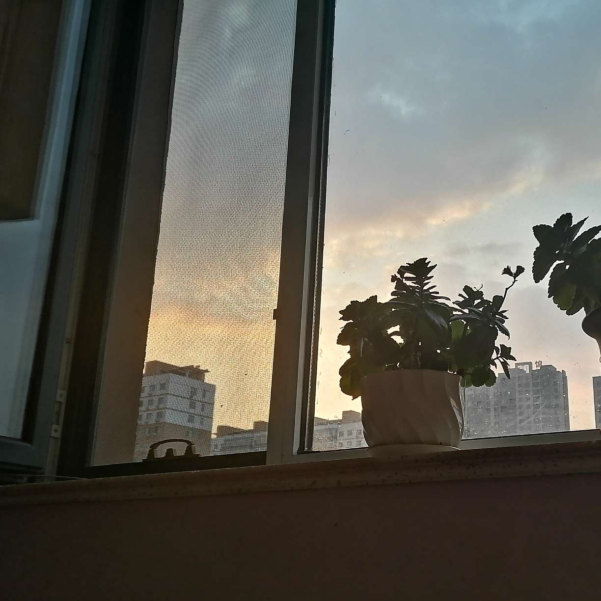 小句子