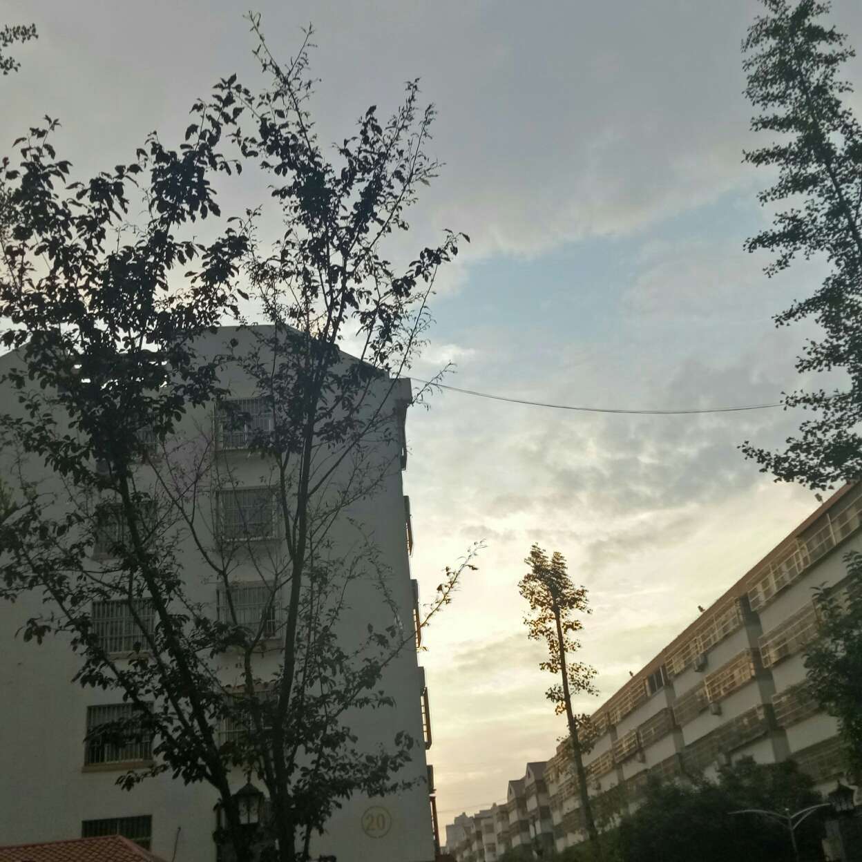 山