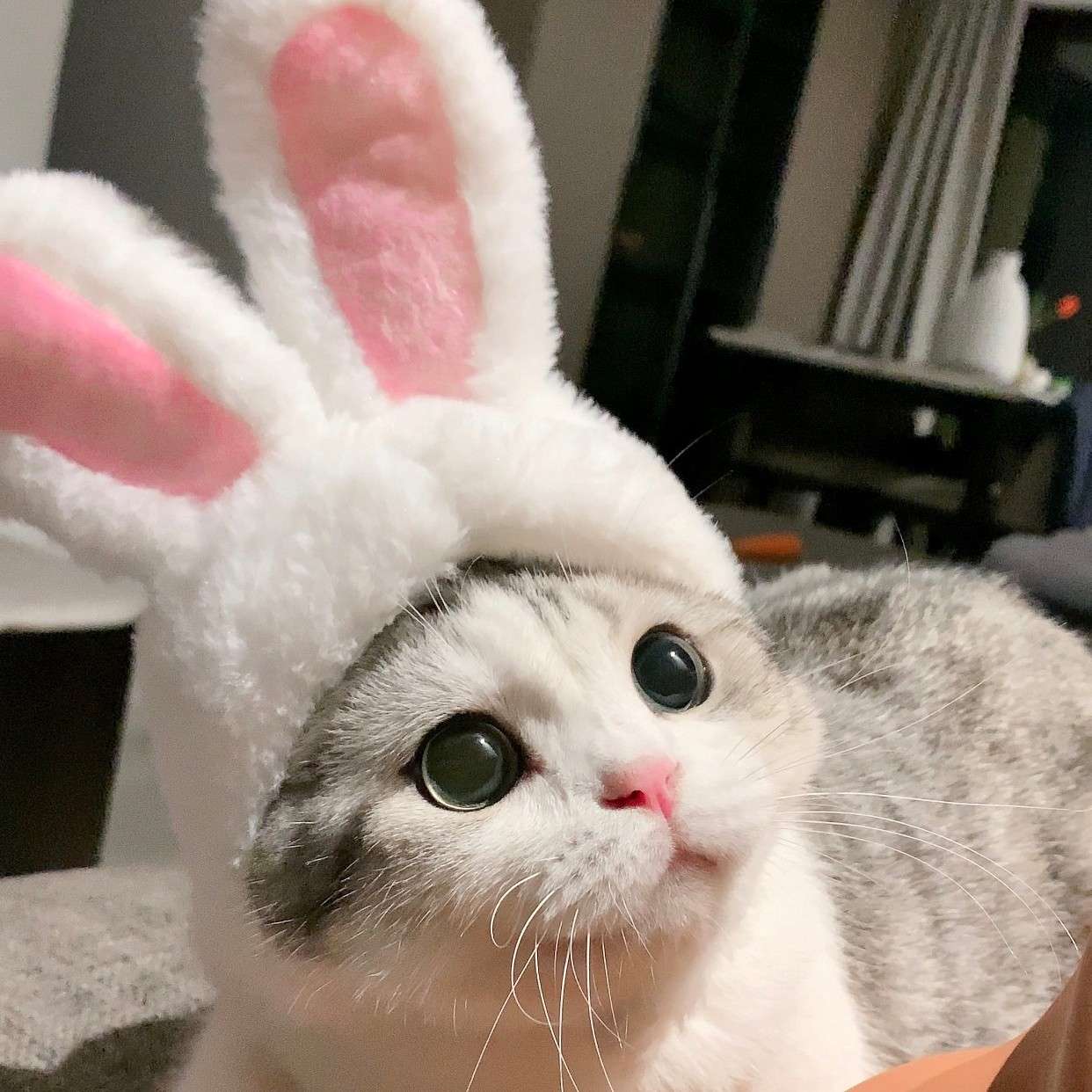 我们