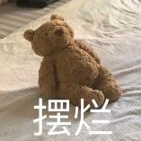猫猫
