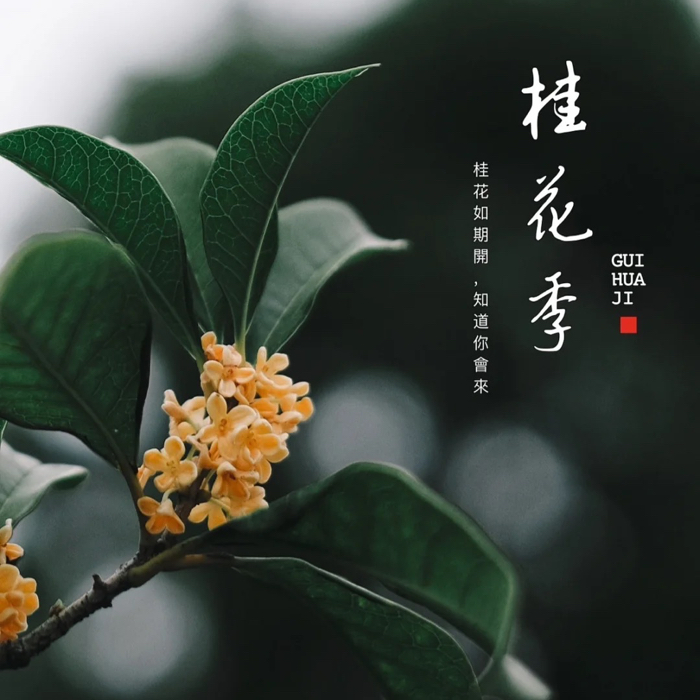 人民日报文案