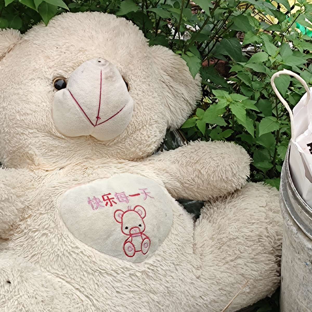 小陈的碎碎念