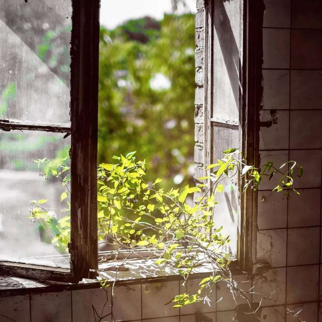 木春