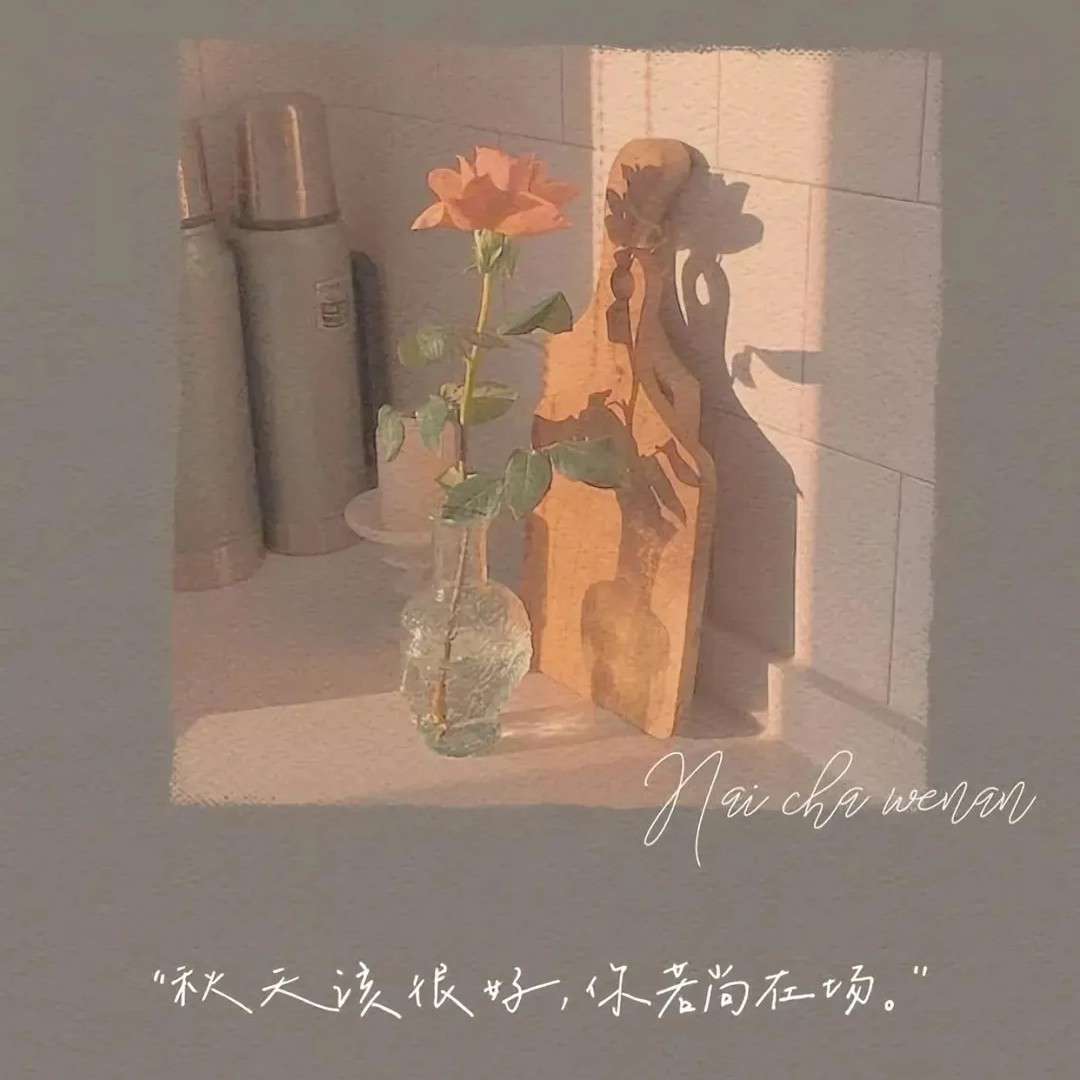 殇憾