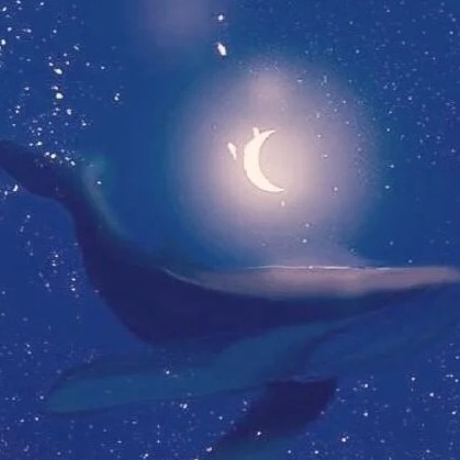 月亮与星星