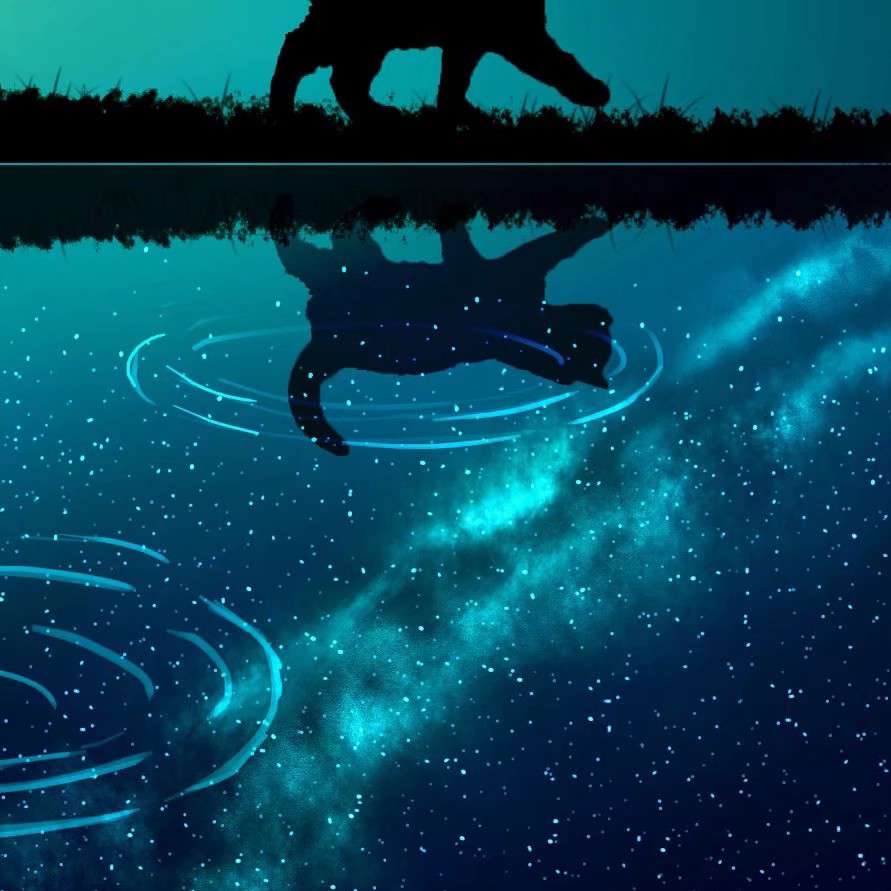 未眠人的留言