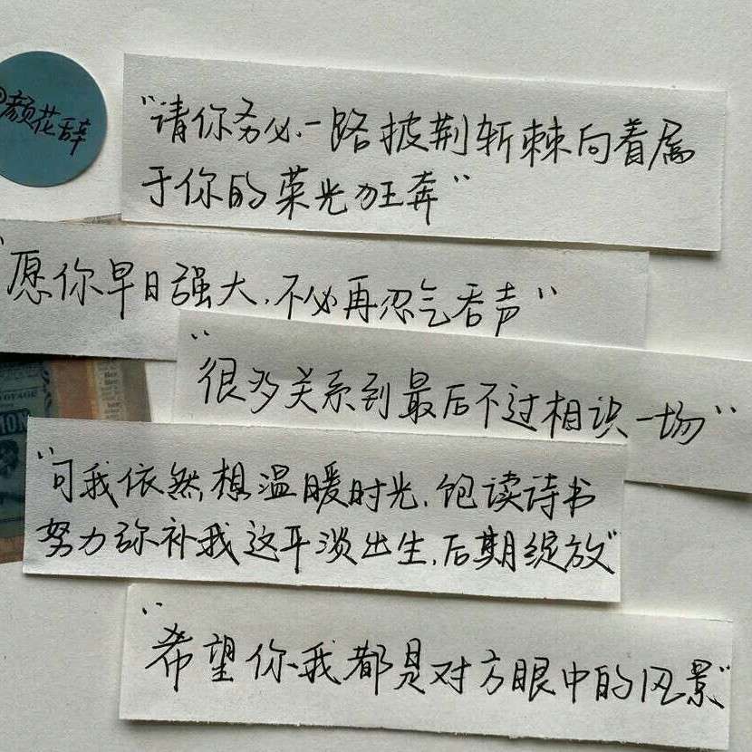 我的高中生活