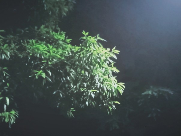 时间煮雨