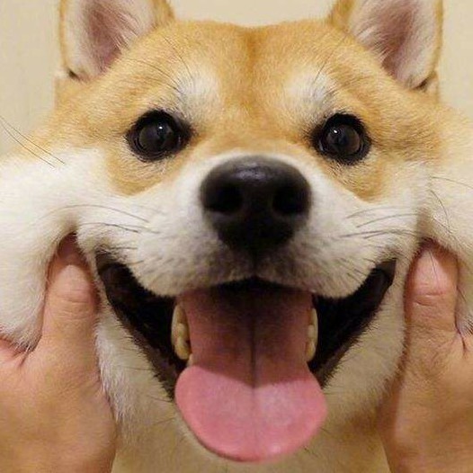 成长