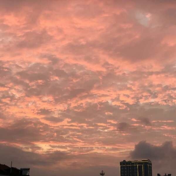 《白日梦我》