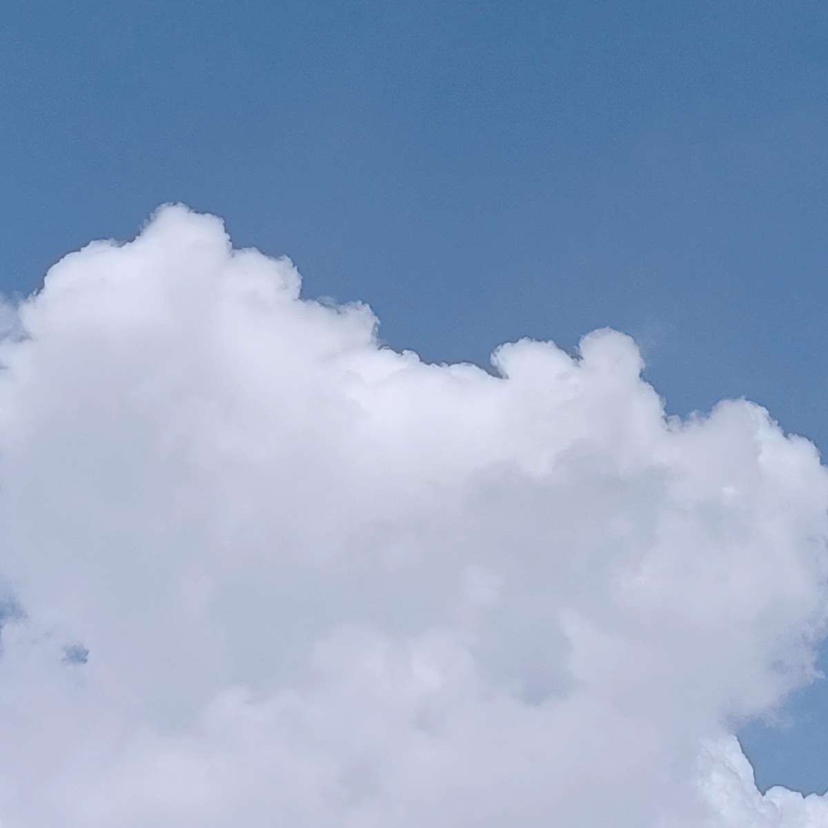 美景