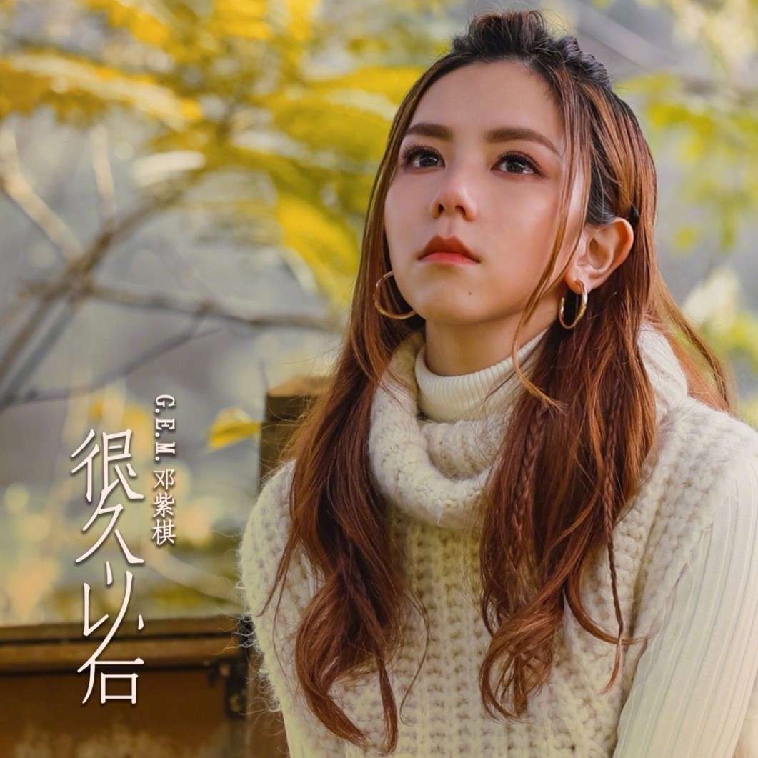 歌词•我的未来不是梦