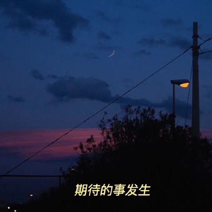 小说