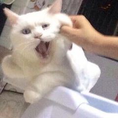 榴芒π的专辑