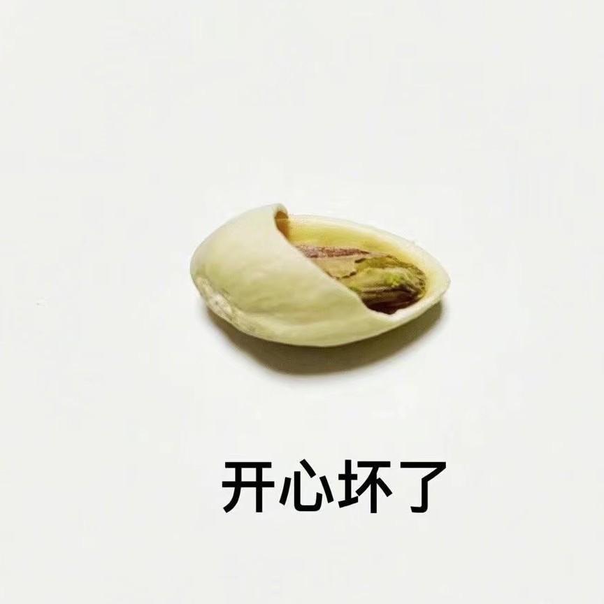 愚梦国度
