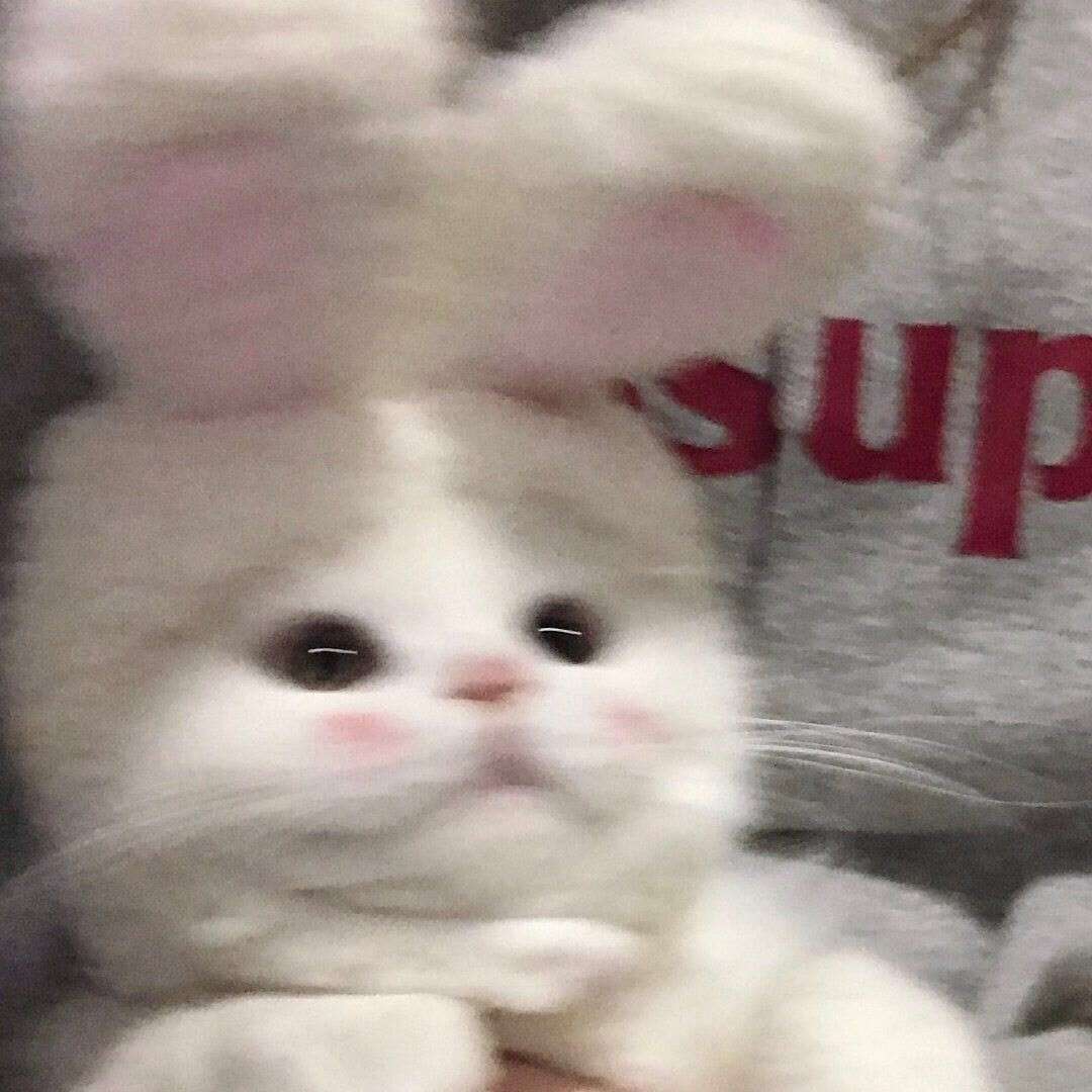 喜欢
