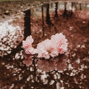 Desire·