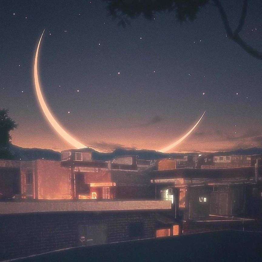 摘录