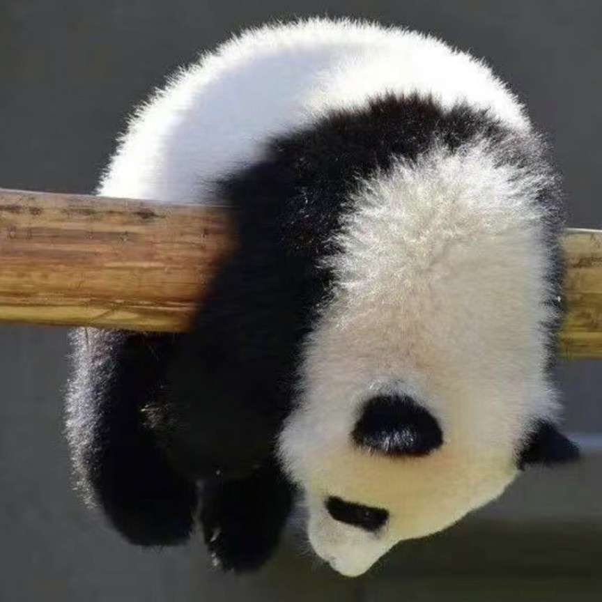 喜欢的句子