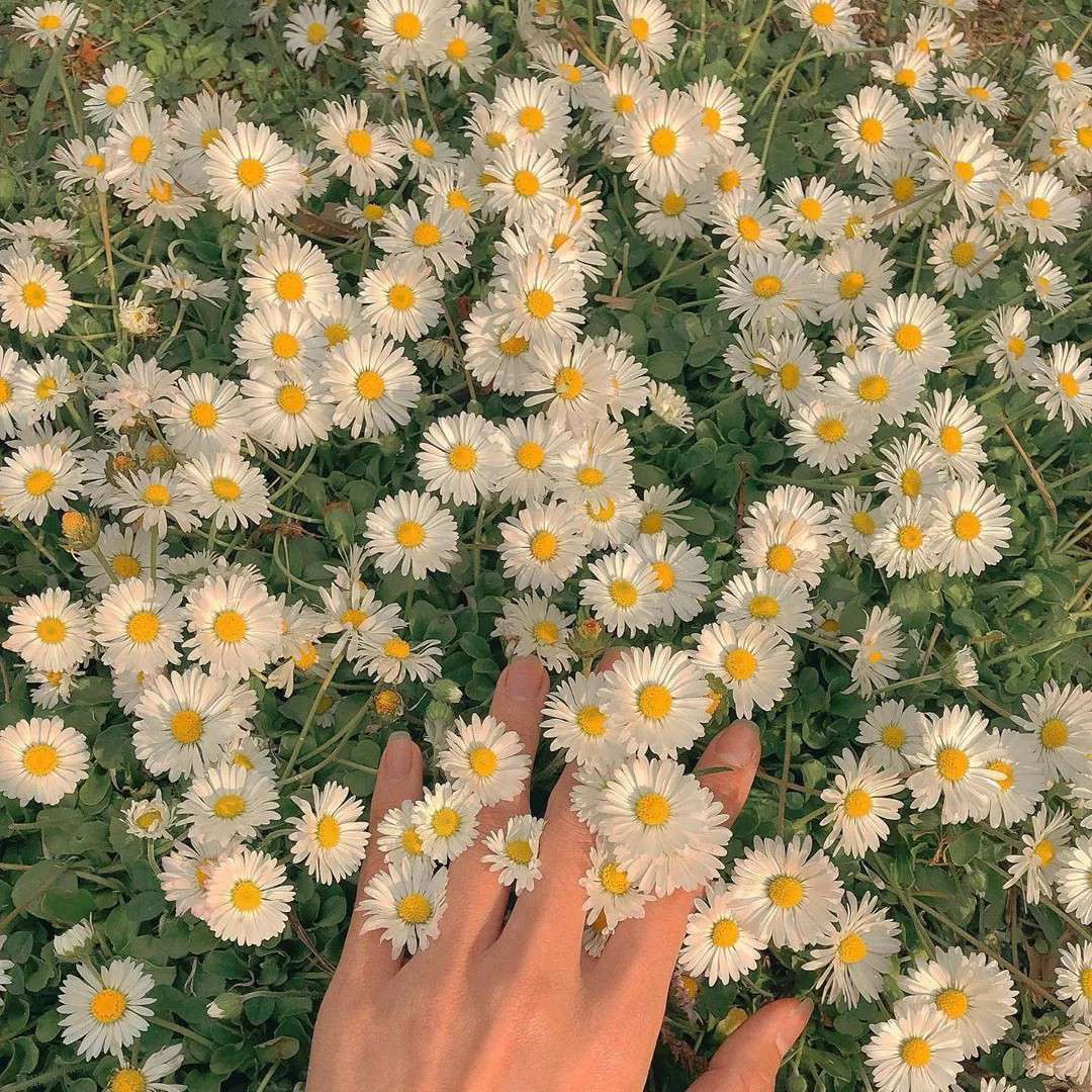 ୧⍤⃝🍒