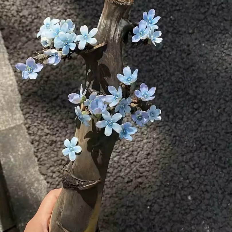 引用的