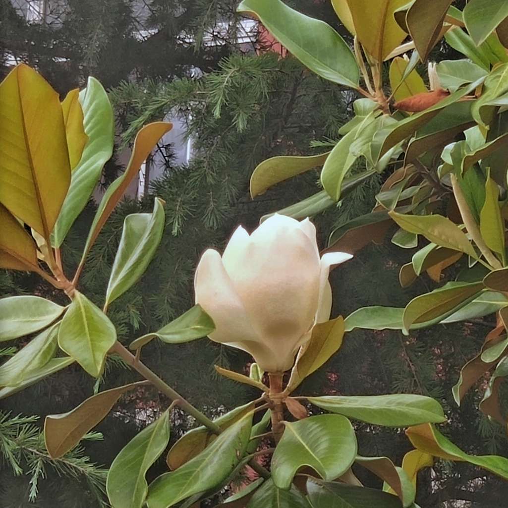 拾忆
