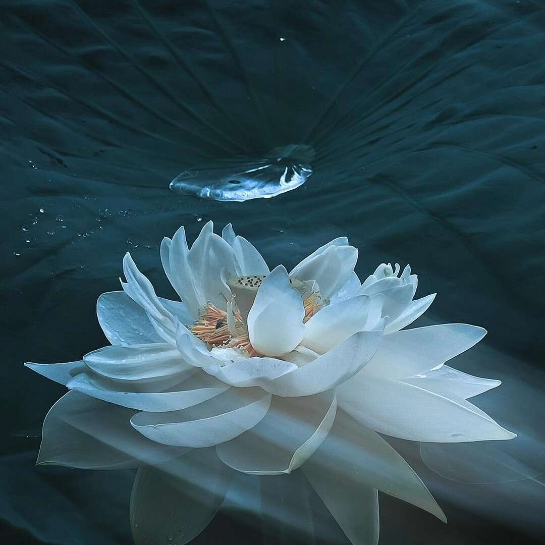 默认专辑
