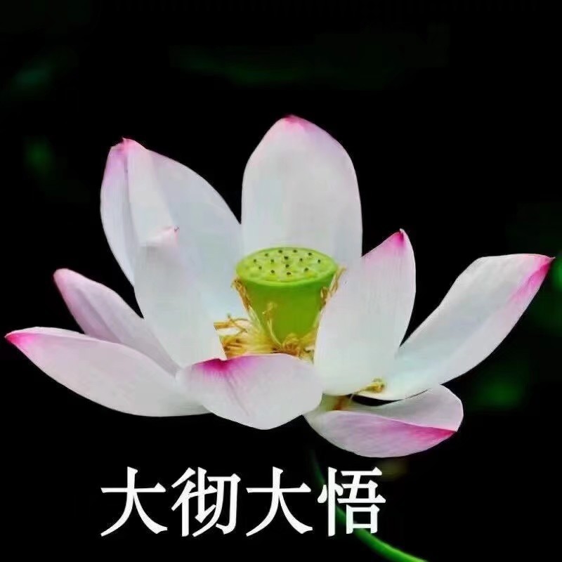 语文