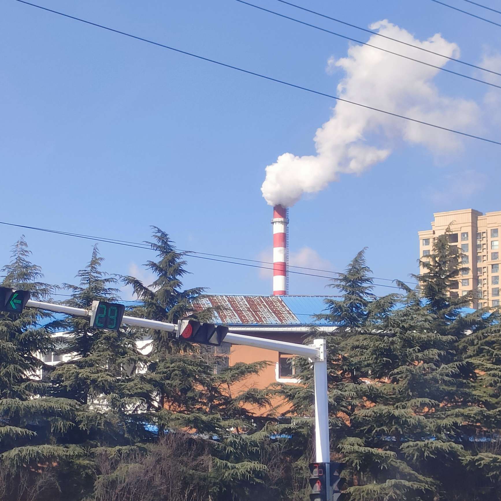 小说摘录