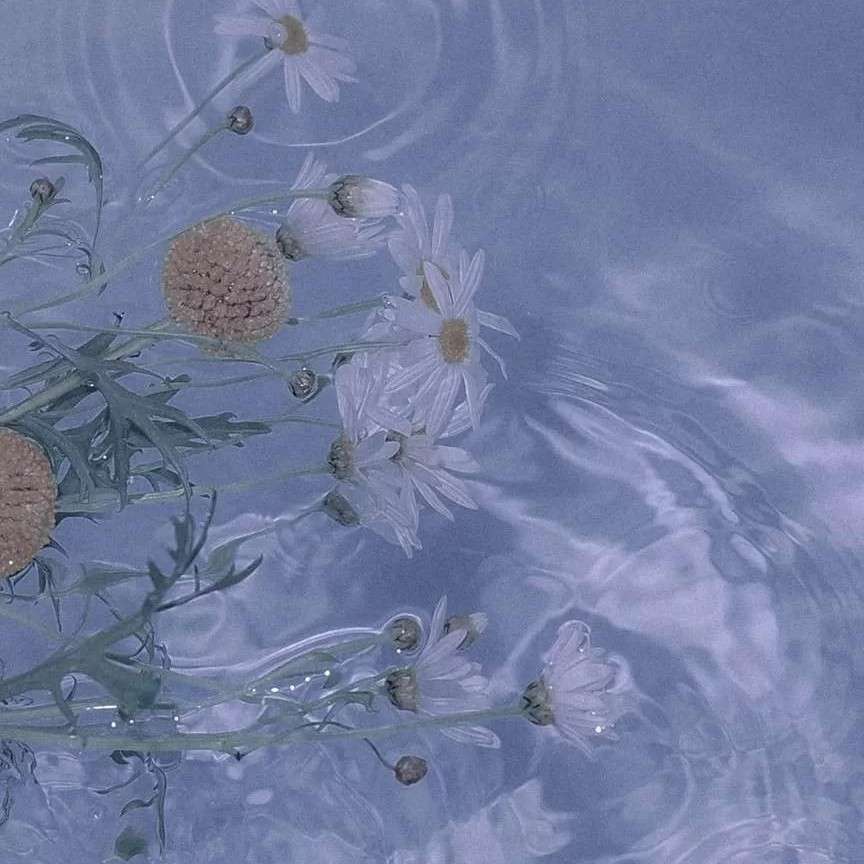 水何澹澹。。