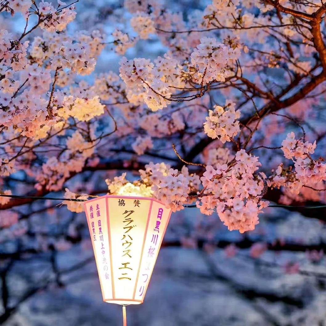 日本