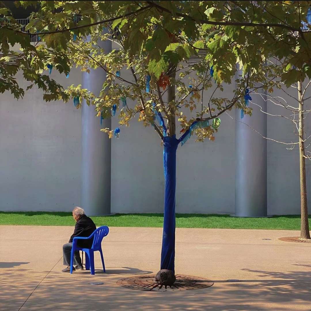 居中