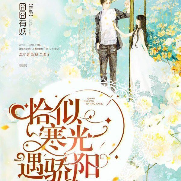 《恰似寒光遇骄阳》