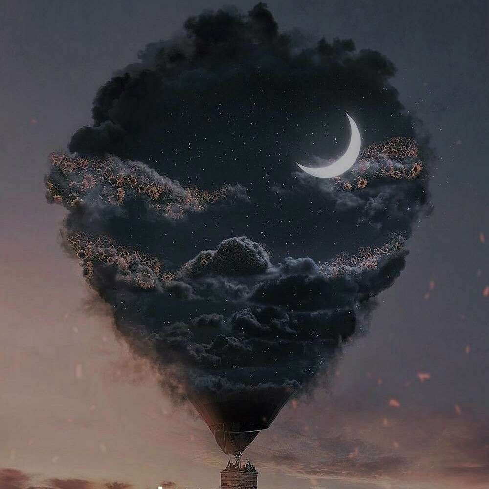 小熊的专辑