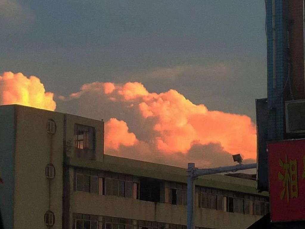 蝉鸣聒噪的夏天，你我奔赴远方