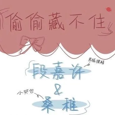 偷偷藏不住