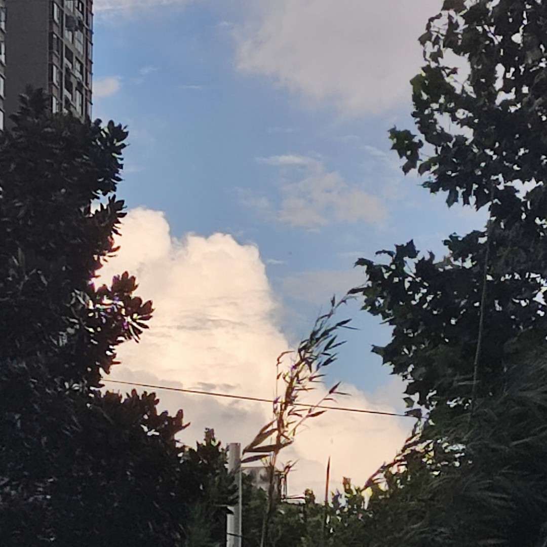 书摘