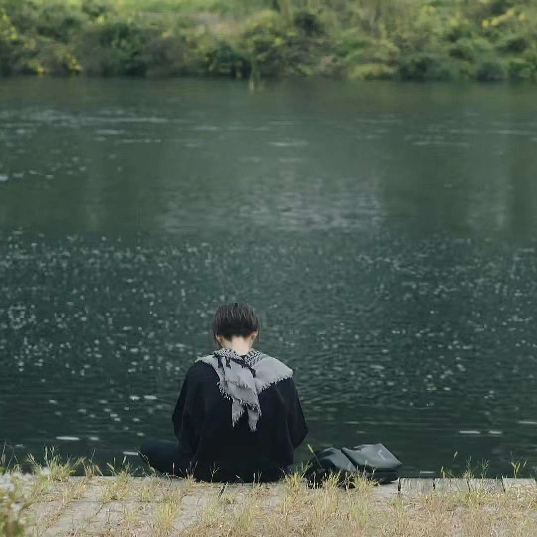 收藏
