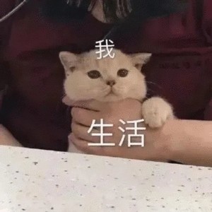 可怜小孩