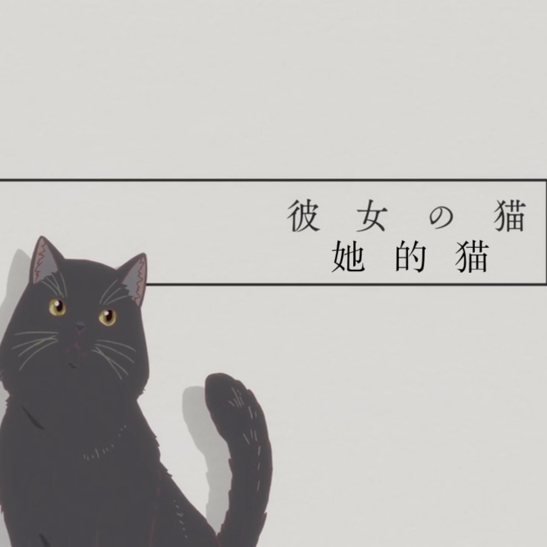 彼女と彼女の猫