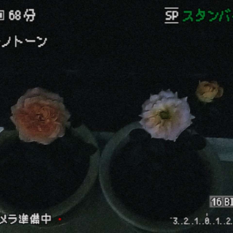 我的专辑