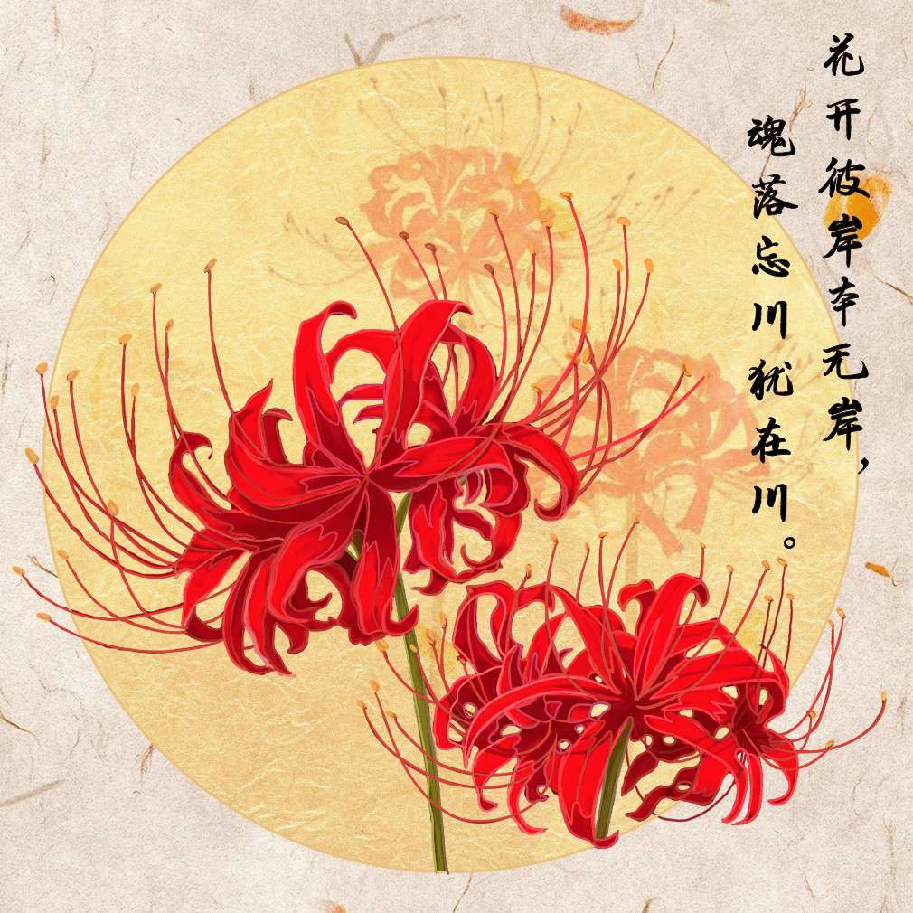 金牛